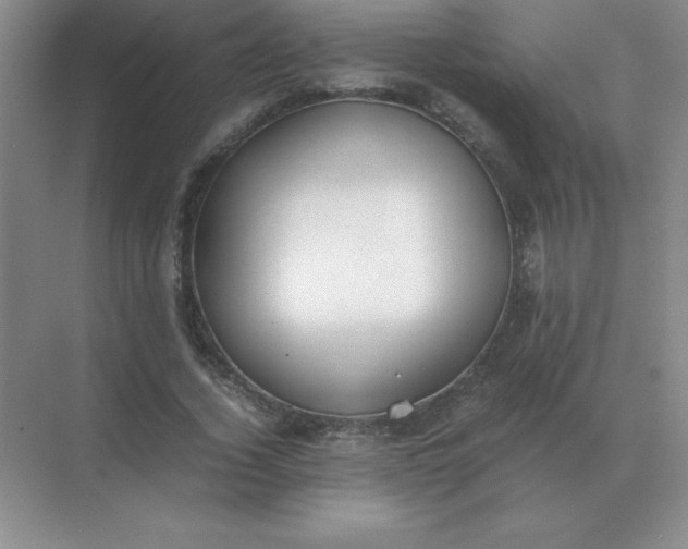 X0000071930732200607212133