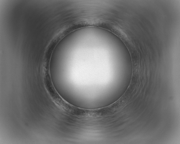 X0000071930736200607212133