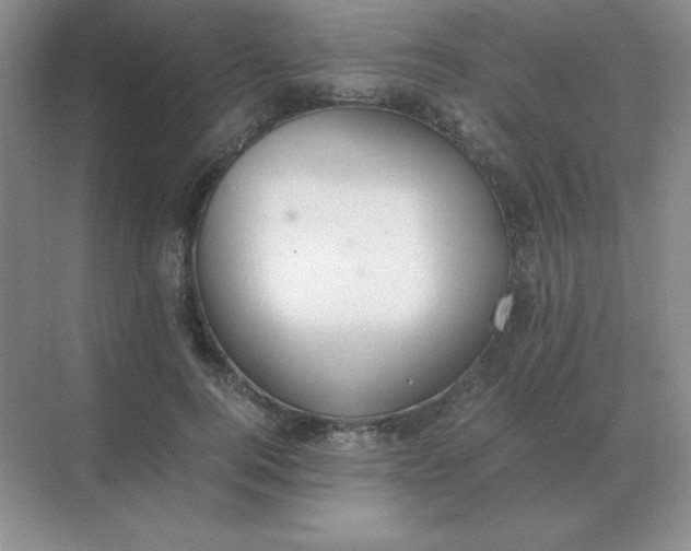 X0000071930744200607212133