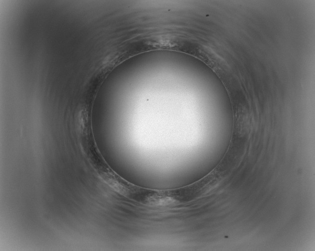 X0000071930747200607212133