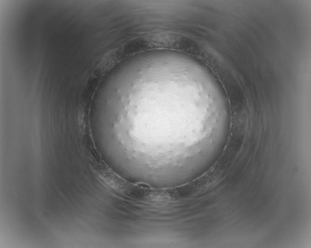 X0000071930749200607212134