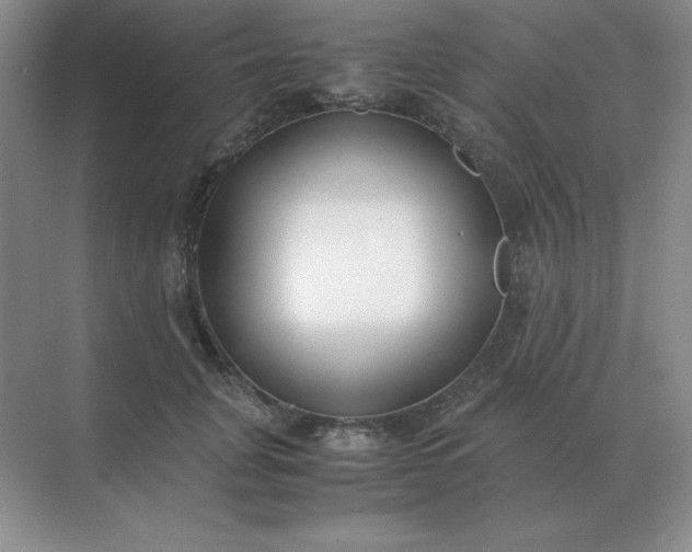 X0000071930751200607212134