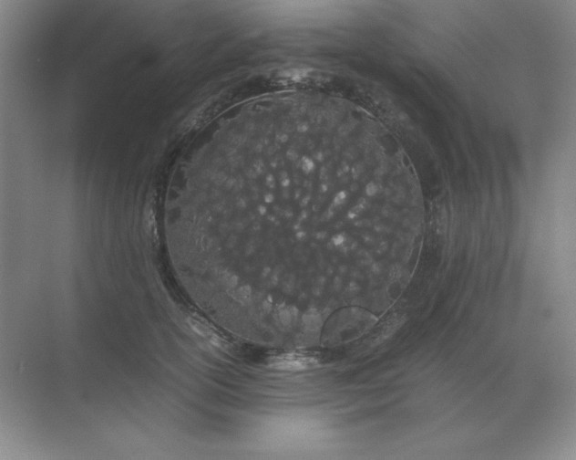 X0000071930754200607212134