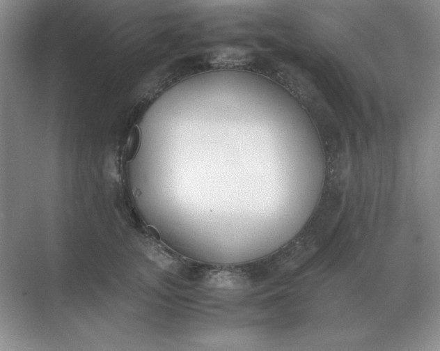 X0000071930755200607212134