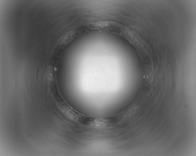 X0000071930758200607212134