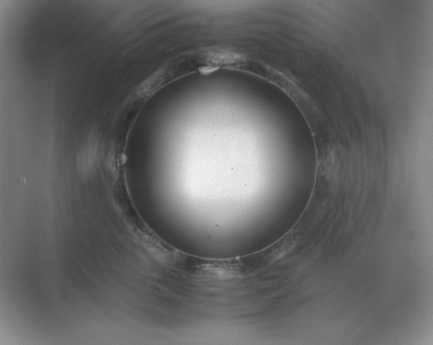 X0000071930763200607212134