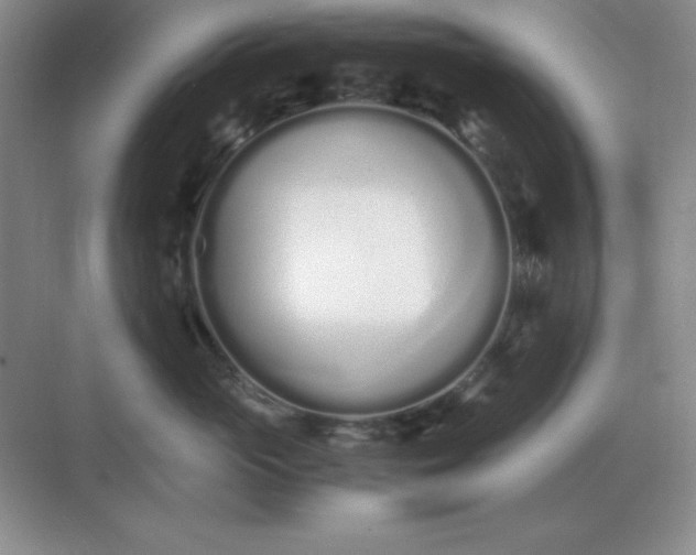X0000071930765200607212134