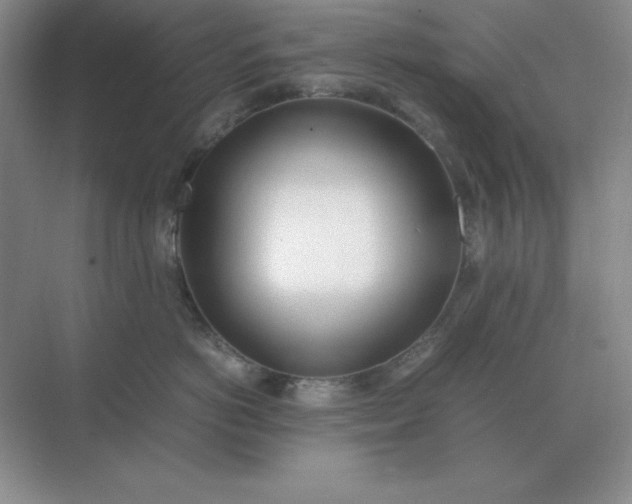 X0000071930766200607212134