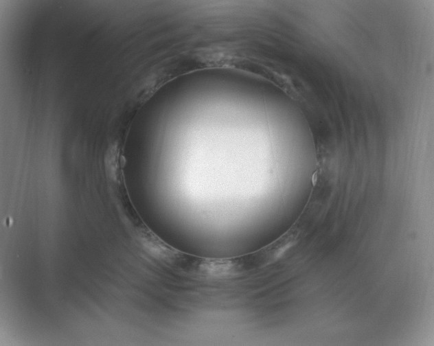 X0000071930767200607212134