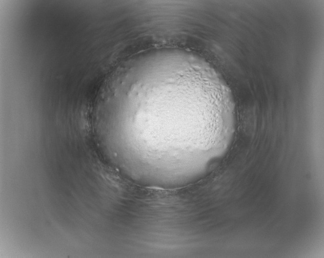 X0000071930770200607212133