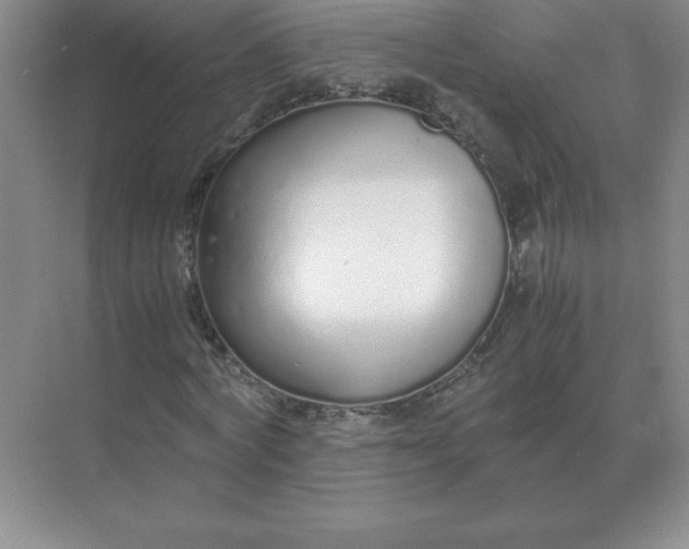 X0000071930772200607212133