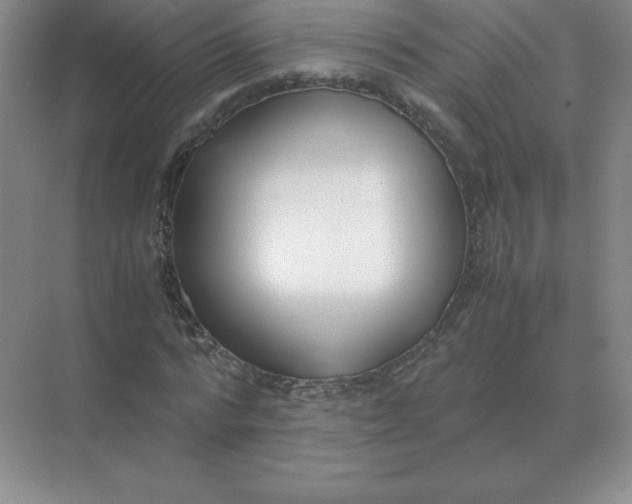X0000071930776200607212133