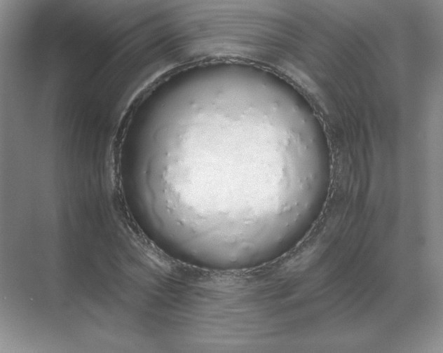 X0000071930782200607212133
