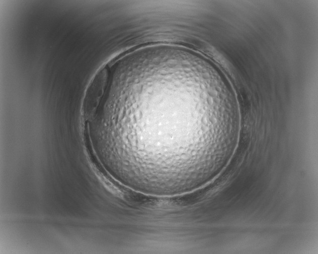 X0000071930787200607212133