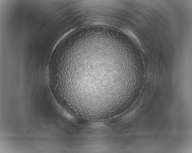 X0000071930798200607212133