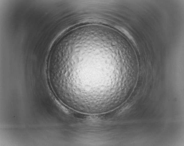 X0000071930799200607212133