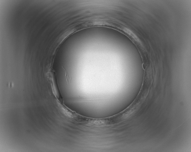 X0000071930801200607212132