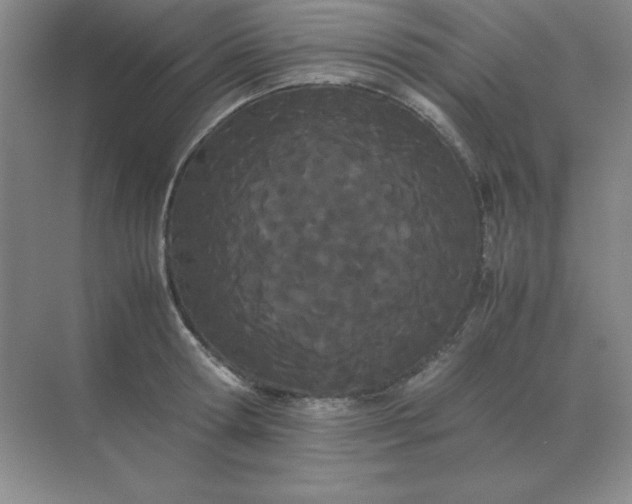 X0000071930802200607212132