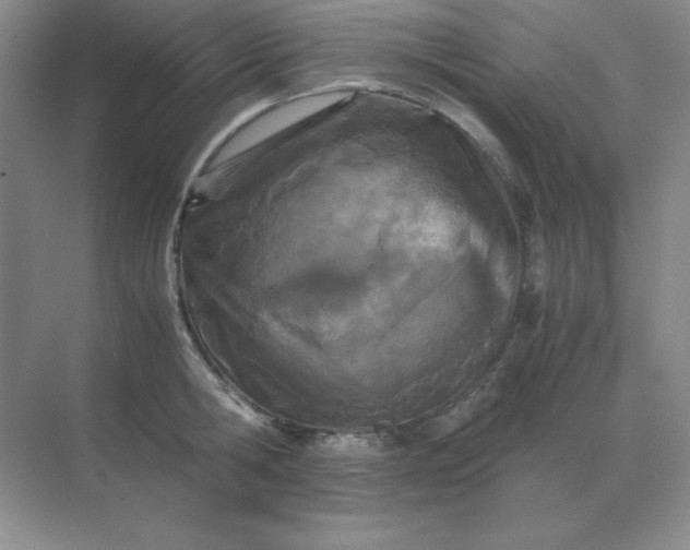 X0000071930806200607212132