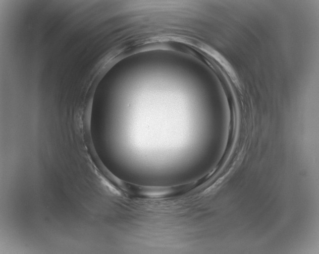 X0000071930809200607212132
