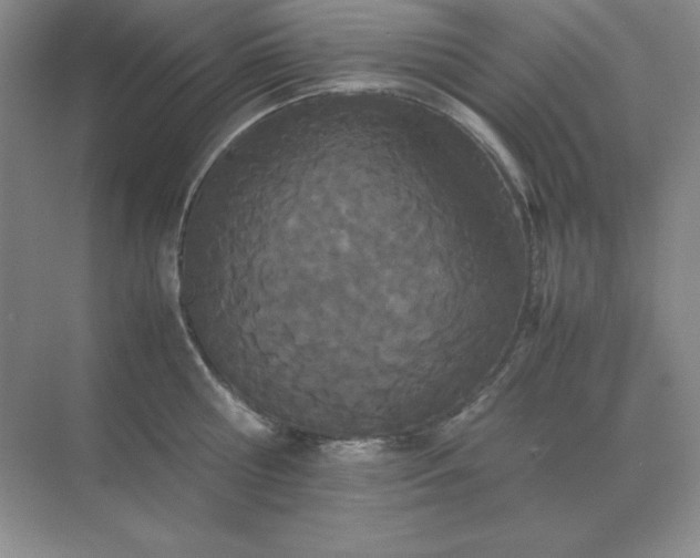 X0000071930810200607212132