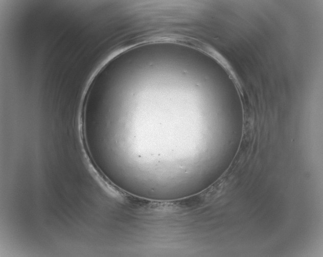 X0000071930811200607212132