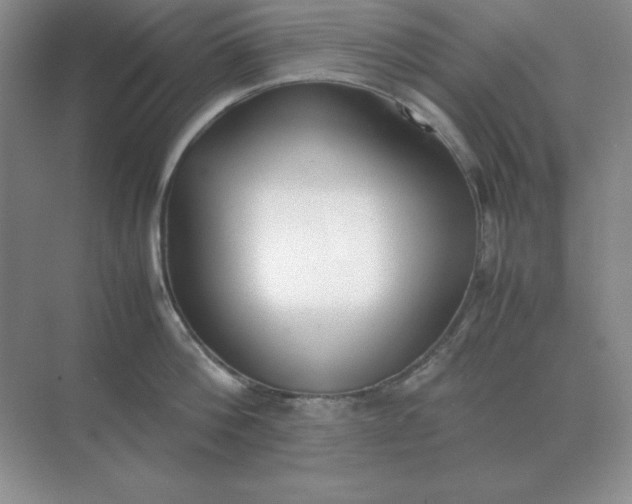 X0000071930812200607212132