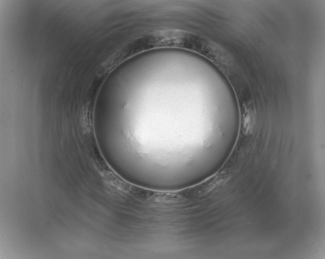 X0000071930819200607212131