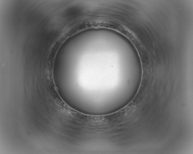 X0000071930823200607212132