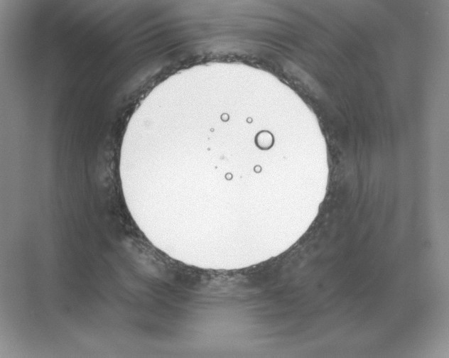 X0000071930824200607212132