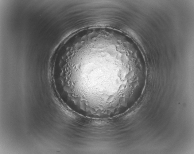 X0000071930835200607212132