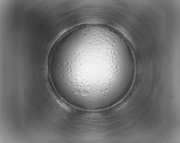 X0000071930837200607212132