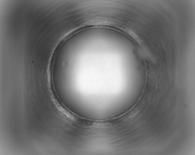 X0000071930840200607212132