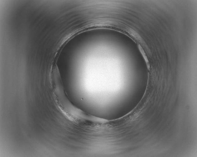 X0000071930842200607212132