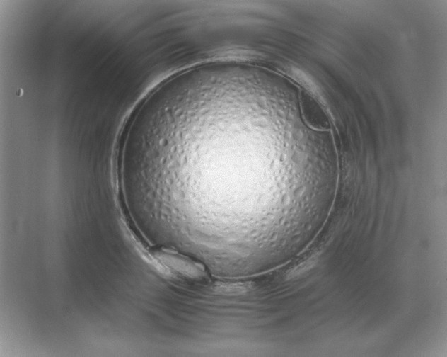 X0000071930843200607212132