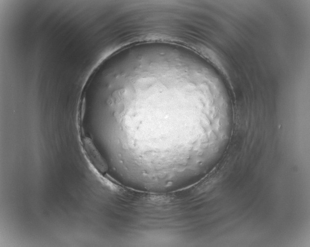 X0000071930847200607212132