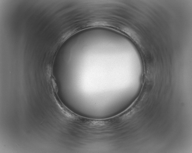X0000071930849200607212132