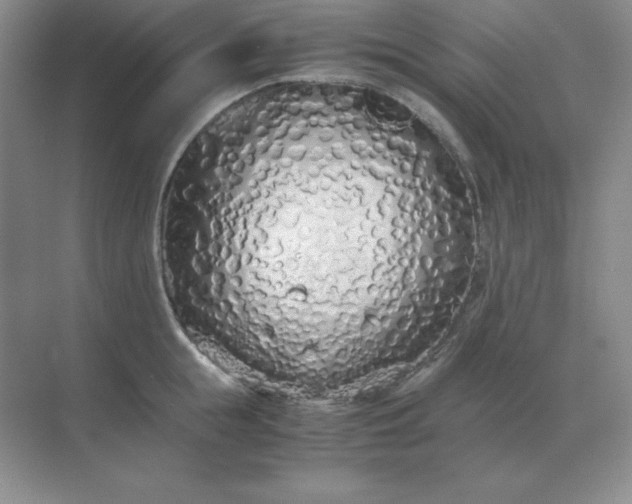 X0000071930855200607212132