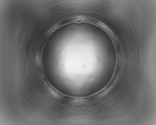 X0000071930857200607212132