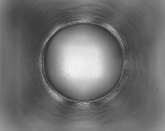 X0000071930859200607212132