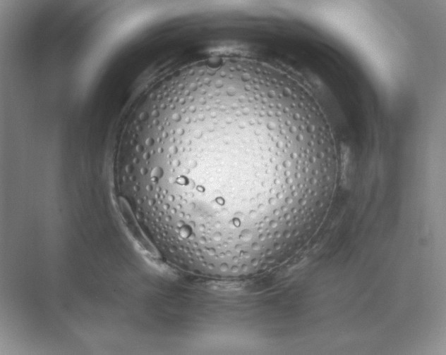 X0000071930861200607212132