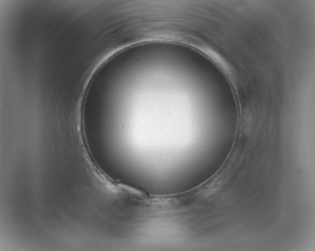 X0000071930862200607212132