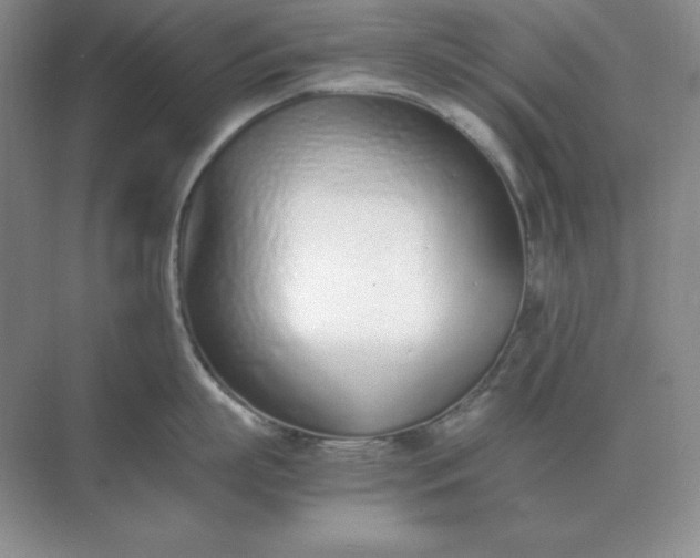 X0000071930863200607212132