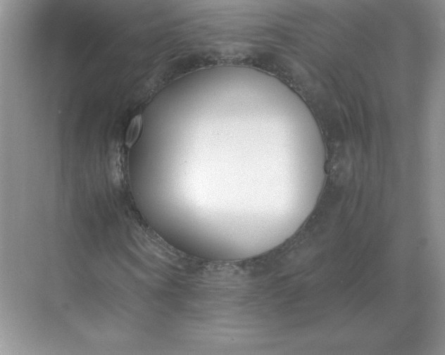 X0000071930866200607212131