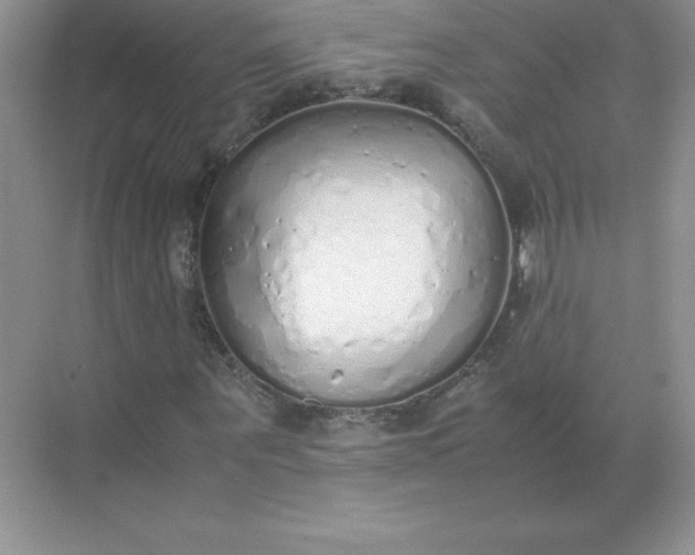 X0000071930867200607212131
