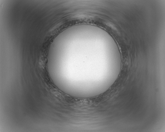 X0000071930869200607212131