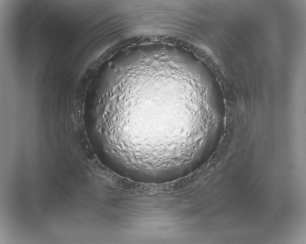 X0000071930871200607212131
