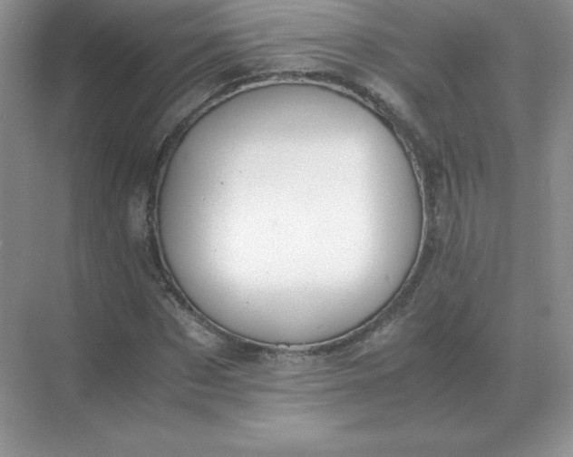 X0000071930873200607212131