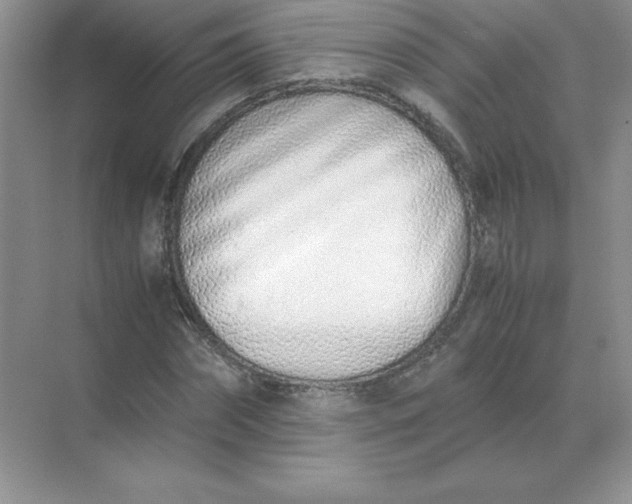 X0000071930874200607212131