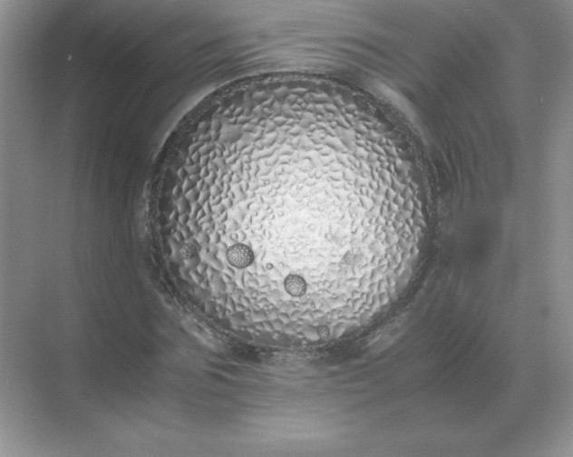 X0000071930875200607212131
